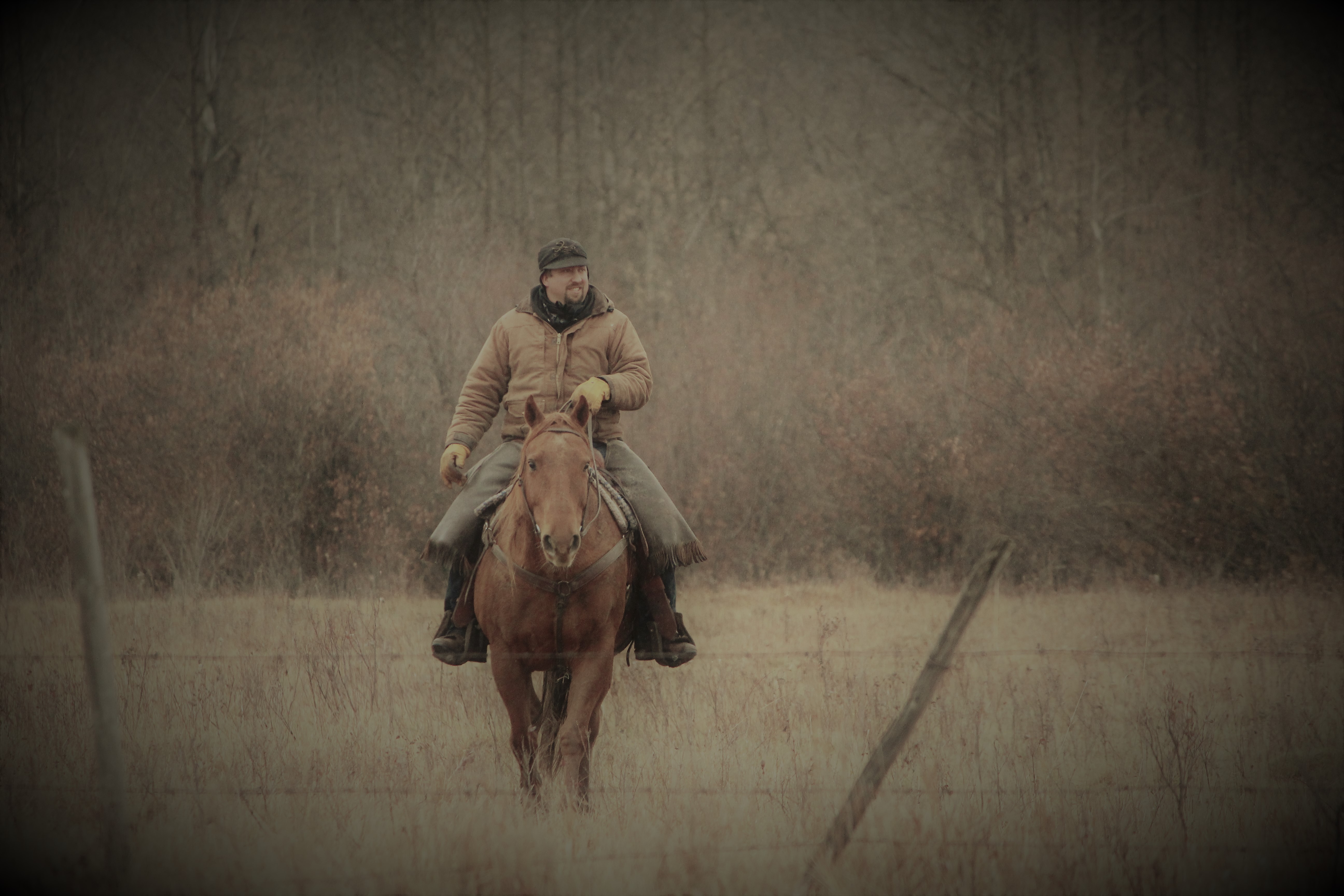 Trent Riding Horse