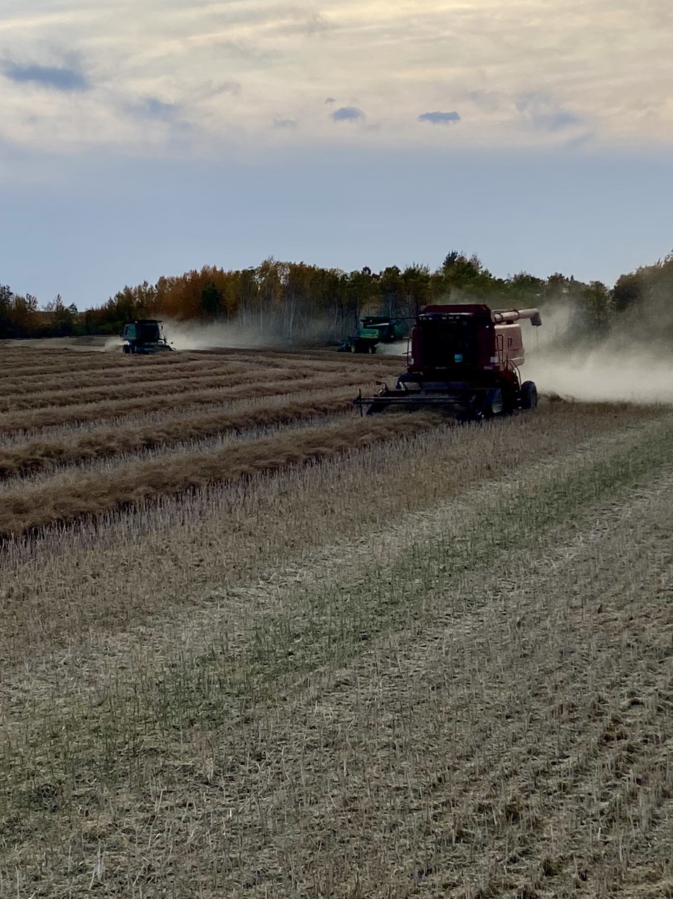 Harvest action