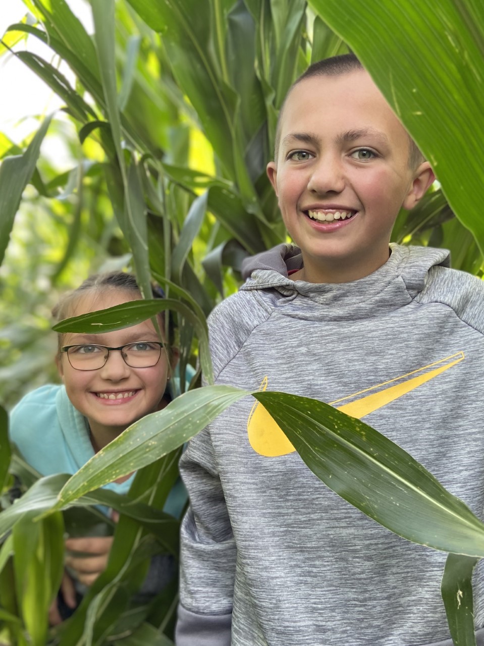 Kids playing hide and seek in the corn